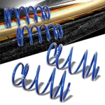 Manzo Usa Blue Street Lowering Springs Kit For 11-16 Scion Tc AT20 Second Gen. Fixed Price $87.25.