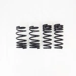 Rs-r F067D Rsr Down Sus Springs. Fixed Price $278.86.