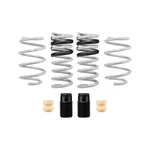 Eibach Drag Launch Kit E32-35-029-01-22 Ford. Fixed Price $365.00.