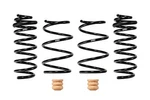 Eibach Springs E10-82-102-01-22 Coil Lowering Kit. Fixed Price $355.00.