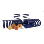 Track Lowering Spring Kit 2015-2023 Ford Mustang M-5300-Y. Fixed Price $340.00.