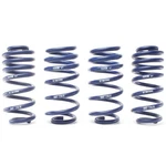 H&r 28687-2 Lowering Springs For 19-25 Audi A6/A7 Quattro Awd W/sport Susp. Fixed Price $373.95.