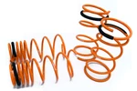 Megan Racing Lowering Springs For Hyundai Tiburon 03-08. Fixed Price $151.50.