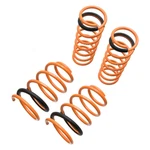 Ford Focus 06-07 Megan Racing 1.5" X Front & Rear Lowering Coil Springs. Fixed Price $161.01.