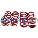 Touring Tech Lowering Drop Coil Springs 2.0"F/4.0"R For 07+ Tahoe Yukon Escalade. Fixed Price $160.00.