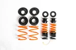 Mss 14-21 Audi / Tt-s Tt-rs MK3 Sports Full Adjustable Kit 02AAUDTT8S. Fixed Price $1505.55.