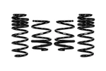Eibach E10 40 043 03 22 Set Of Springs. Fixed Price $395.34.