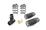 Eibach (lowering Springs) Pro-kits : Part# 4244.14. Fixed Price $355.00.