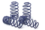 H&r 52427-2 Sport Springs For 1998-2000 Lexus GS400. Fixed Price $309.31.