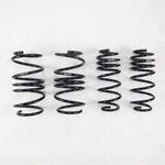 Rs*r Down Sus Lowering Springs For 2016-2021 Honda Civic Coupe & Sedan. Fixed Price $279.00.