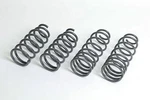 Progress Technology Sport Spring Set 40.1134. Fixed Price $276.40.