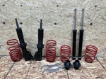 Raceland Ultimo Coilovers For Honda Civic 8TH Gen. (2006-2011). Fixed Price $449.99.