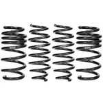 Eibach E10-87-001-02-22 Front Rear Lowering Springs For 17-23 Tesla Model Awd. Fixed Price $395.00.