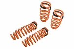 Megan Racing Lowering Coils Springs For Mazda 2003-2008 V6. Fixed Price $165.00.
