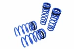 Megan Racing Lowering Springs For Lexus IS250/IS350 2014+ Rwd. Fixed Price $182.25.