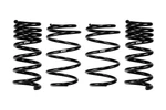 Eibach E10-35-064-02-22/02 Pro-kit Fits Ford. Fixed Price $355.00.