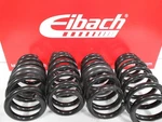 Eibach Lowering Springs For Audi R8 E10-15-027-01-22 Pro Kit / B-stock. Fixed Price $258.46.