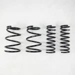 Rs-r F666W 3.6R Down Sus Springs For Subaru Outback 2015-2019. Fixed Price $279.75.