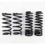 Rs-r Down Sus Lowering Springs For Lexus IS250/350 Rwd 2014+ GSE30/GSE31. Fixed Price $276.16.