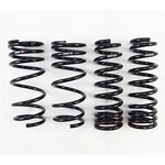 Rs-r Suspension Super Down 1SET T197S2. Fixed Price $352.25.