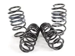 For Volkswagen Golf Coil Spring Lowering Kit / Shock Absorber Hr 22653P. Fixed Price $253.08.