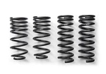 Front/rear Spring Kits Ford Mustang 1979-2004. Fixed Price $324.00.