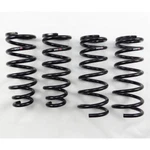 Rs-r Down Sus Lowering Springs For Lexus GS300/400/430 1998 To 2005 JZS160. Fixed Price $274.90.