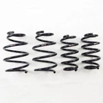 Rs T532D Down Sus Springs For 2015-21 Lexus Nx Awd/fwd. Fixed Price $288.95.