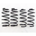 Rs-r M550D Rsr Down Sus Springs. Fixed Price $309.00.