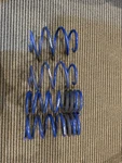 Steeda Lowering Springs Progressive Sport Mustang With Magneride 2015-2024. Fixed Price $325.00.