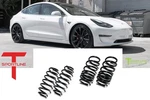 Sportline Lowering Springs Front Rear Set 2017-2023 Tesla Model Performance. Fixed Price $249.95.