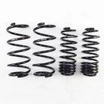 Rs-r H292D Down Sus Springs For Honda Fit 2014-2020. Fixed Price $228.72.