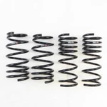 Rs-r T065S Superdown Sus Springs For Scion Fr-s 2013-2016 New. Fixed Price $223.25.