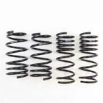Rs-r For 13+ Scion Fr-s (ZN6) Super Down Springs RSRT065S. Fixed Price $249.00.