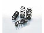 Front And Rear Coil Spring Lowering Kit / Shock Absorber 34DHXF44 For 911. Fixed Price $372.08.