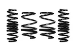 Eibach E10 82 087 06 22 Set Of 4 Springs. Fixed Price $395.00.