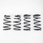 Rs-r T581D Rsr Down Sus Springs. Fixed Price $309.00.