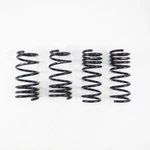 Rs-r T557D Rsr Down Sus Springs. Fixed Price $279.00.