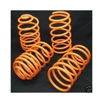 Megan Racing MR-LS-AT04 Acura Lowering Coil Springs Kit. Fixed Price $165.05.