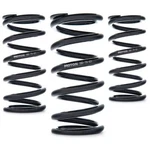Ast Linear Race Springs - 80MM Length, 20 N/mm Rate, 61MM Id. Fixed Price $119.96.