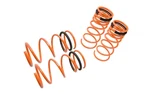 Megan Racing MR-LS-HT03 Lowering Springs For 03-08 Hyundai Tiburon. Fixed Price $154.99.