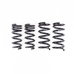 Rs-r N135D Rsr Down Sus Springs. Fixed Price $369.00.