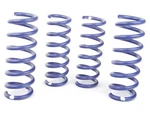 For Mercedes C43 Amg Coil Spring Lowering Kit / Shock Absorber Hr 21658. Fixed Price $247.08.