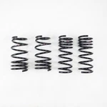 Rs-r M032D Rsr Down Sus Springs. Fixed Price $249.00.