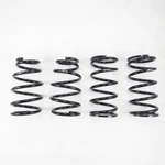 Rs-r T298D Down Sus Springs For 2016+ Lexus RX350 Awd. Fixed Price $298.61.