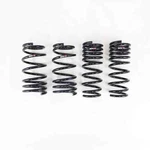 Rs-r T067D For 2022 Toyota GR86 Down Lowering Springs. Fixed Price $271.10.