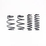 Rs-r T544D Rsr Down Sus Springs. Fixed Price $339.00.