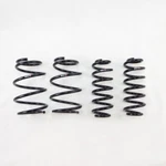 Rs-r T581D For 2017 Toyota Prius Prime (ZVW52) Down Lowering Springs. Fixed Price $277.95.