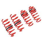 For Alfa Romeo Giulia 17-22 0.8" X 1.1" Front & Rear Lowering Coil Springs. Fixed Price $178.59.