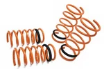 Megan Racing Suspension Lowering Springs For 02-07 Saturn Vue L61 L81 J35A3 All. Fixed Price $2400.00.
